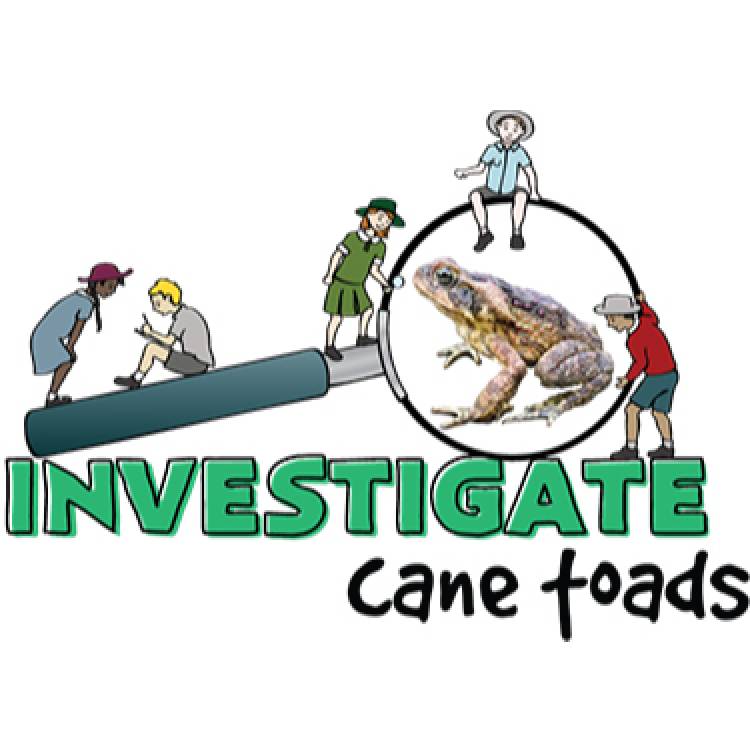 Investigate: cane toads
