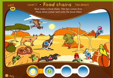Food chains: the desert