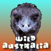 Taronga Zoo - Wild Australia: iPad app