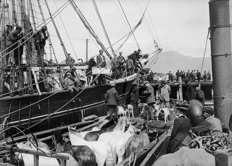 Shackleton expedition at Lyttelton Harbour, 1914